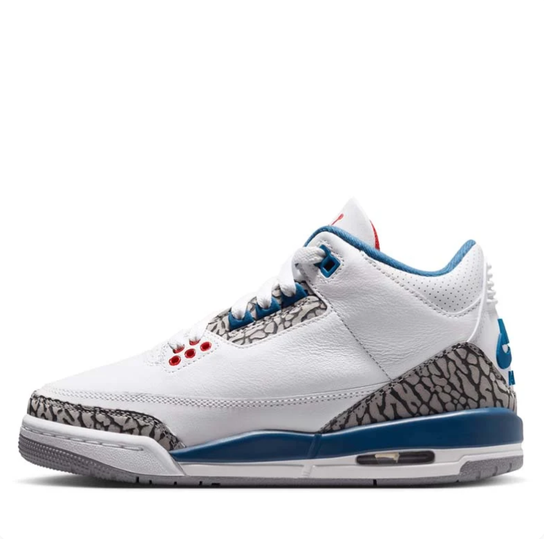 Air Jordan 3 Sneakers - White & Blue with Elephant-Print Details