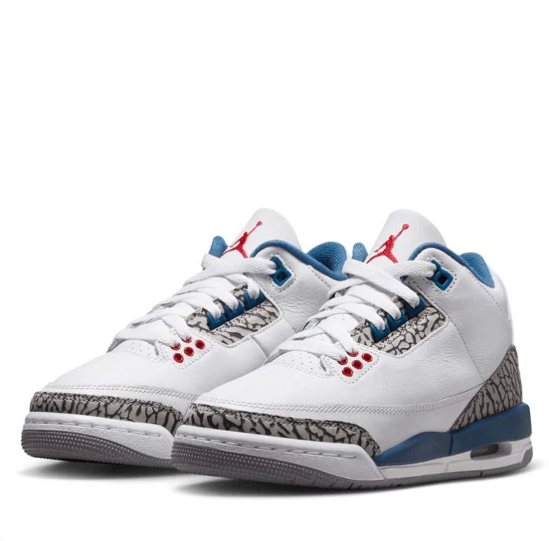 Air Jordan 3 Sneakers - White & Blue with Elephant-Print Details