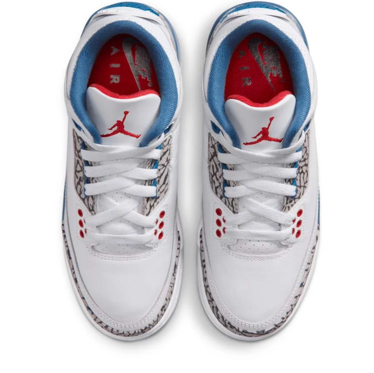 Air Jordan 3 Sneakers - White & Blue with Elephant-Print Details